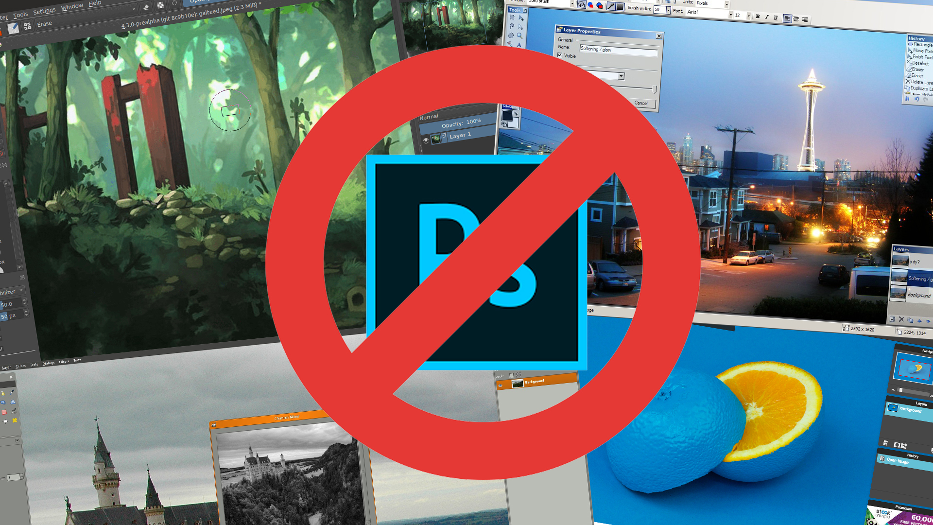 Switching from Adobe Lightroom Classic to Capture One: My Journey